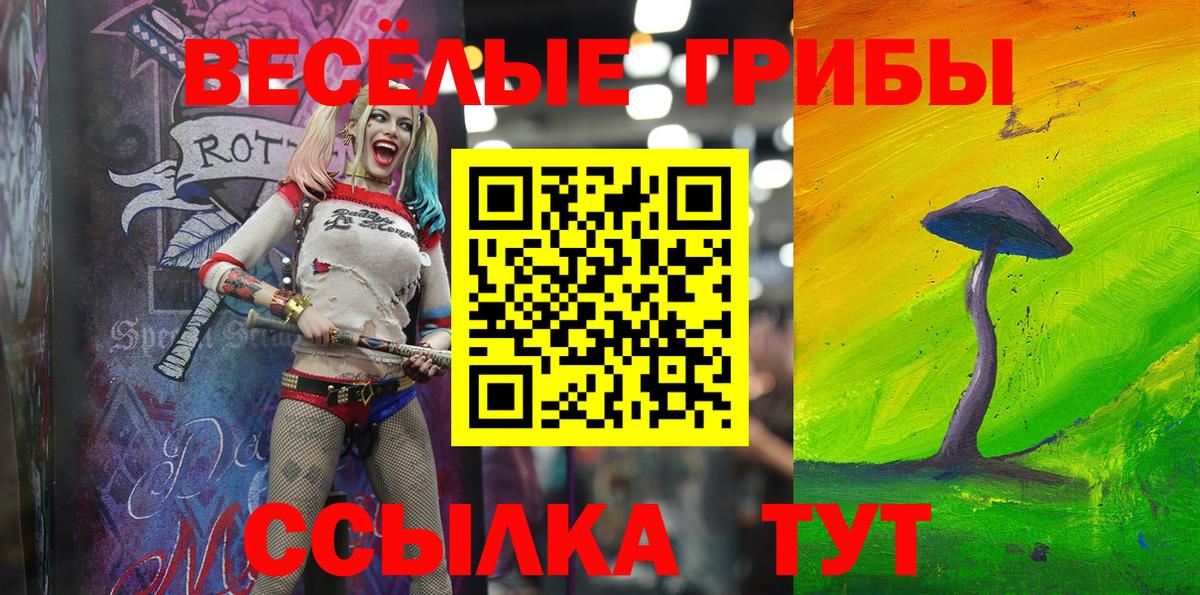 Арзамас  Галлюциногенные грибы Cubensis  Вход с VPN 
